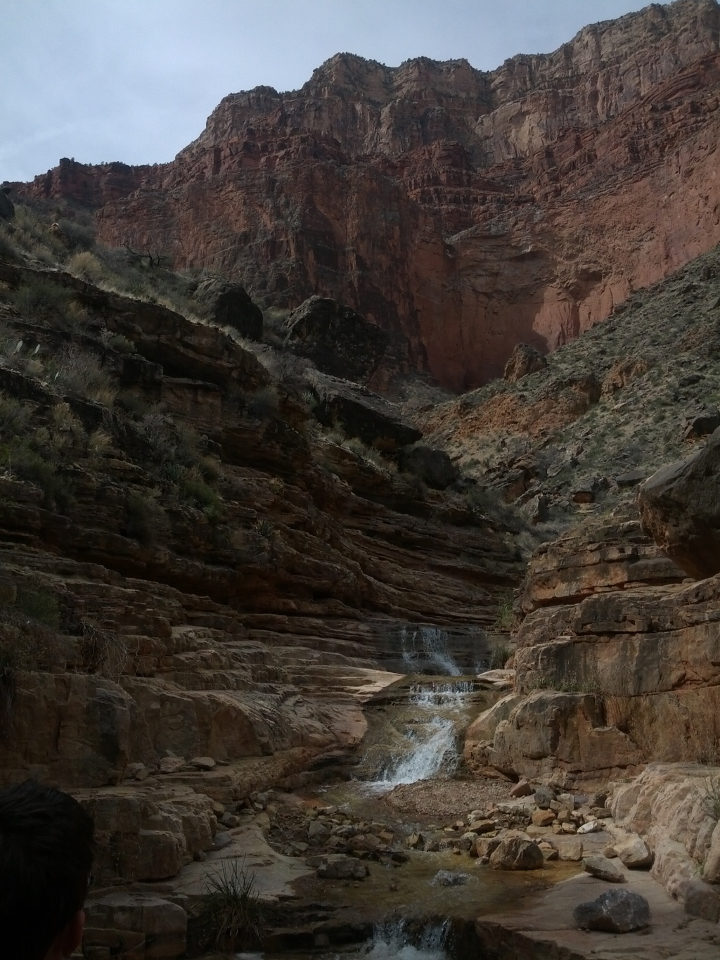 IMG_20130315_113151.jpg